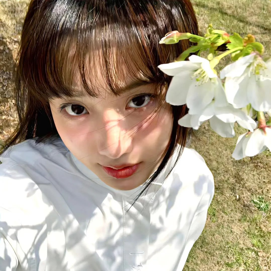 彩凤春情